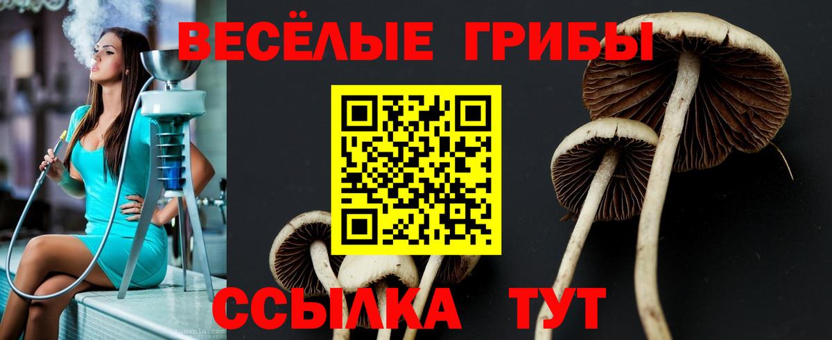Галлюциногенные грибы GOLDEN TEACHER Вятские Поляны